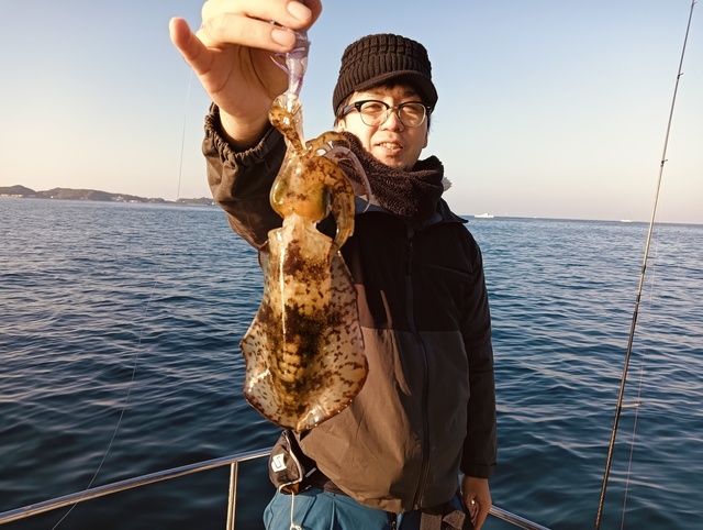 アオリイカ