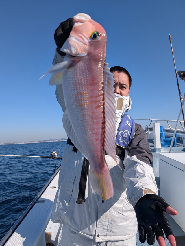 アマダイ(アカアマダイ)