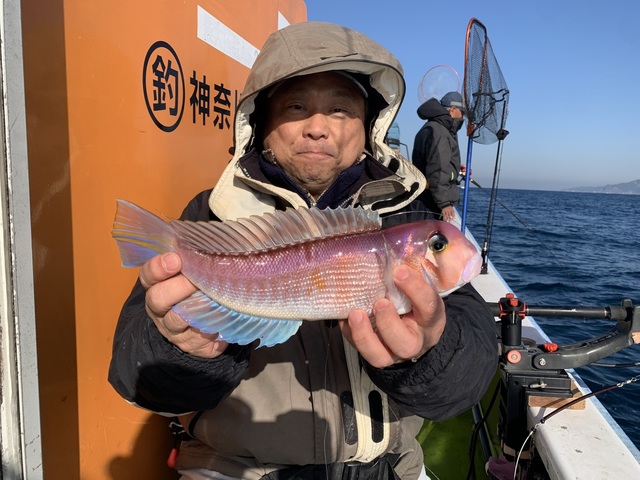 アマダイ(アカアマダイ)