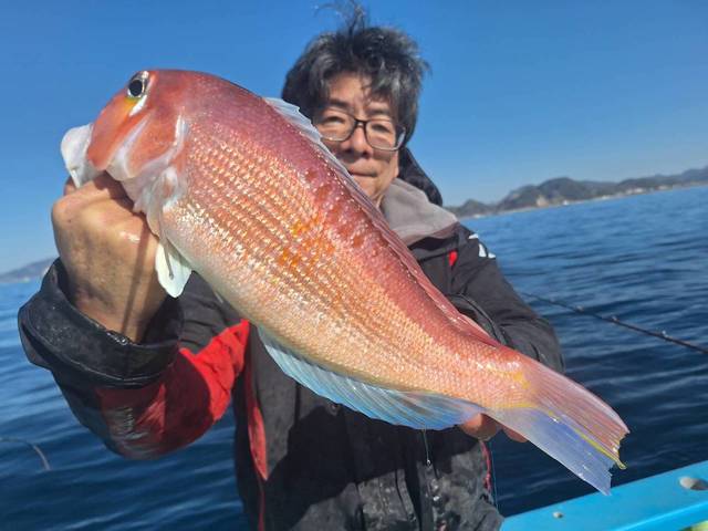 アマダイ(アカアマダイ)