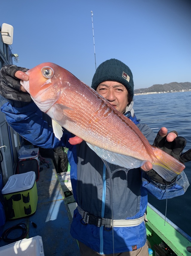 アマダイ(アカアマダイ)