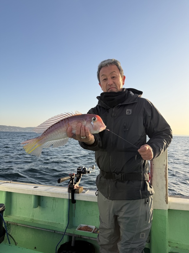 アマダイ(アカアマダイ)