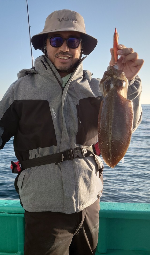 モンゴウイカ(カミナリイカ)