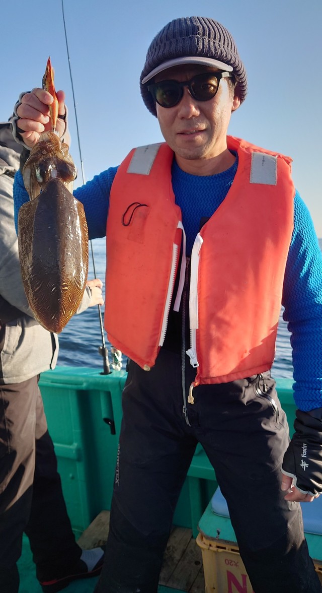 モンゴウイカ(カミナリイカ)