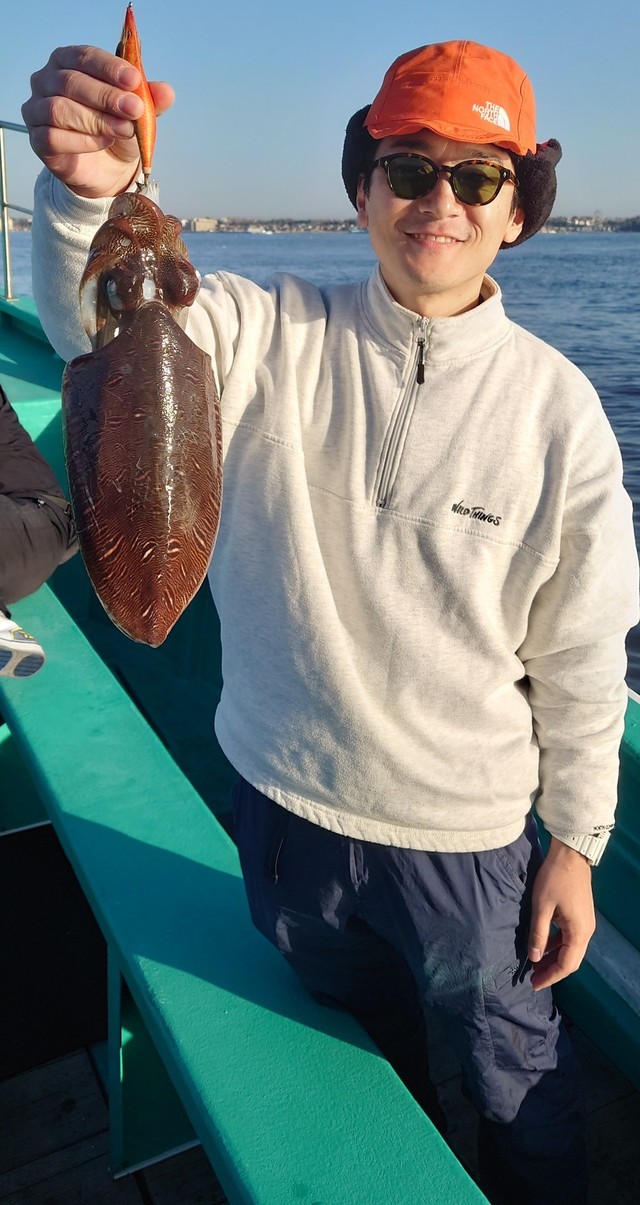 モンゴウイカ(カミナリイカ)