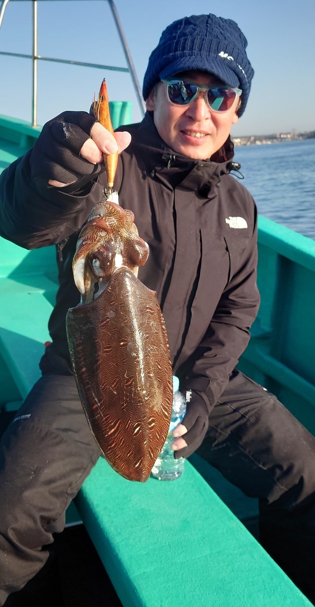 モンゴウイカ(カミナリイカ)