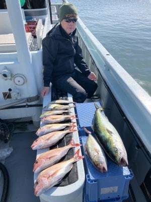 マダイ・ブリ・シオ(カンパチ)・イサキ