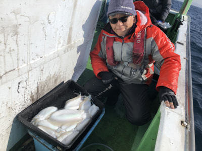 モンゴウイカ(カミナリイカ)