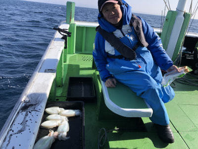 モンゴウイカ(カミナリイカ)