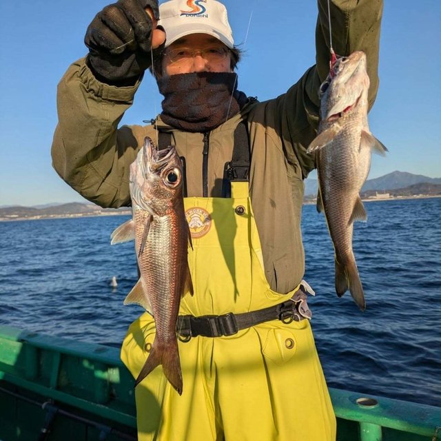 シロムツ(オオメハタ)