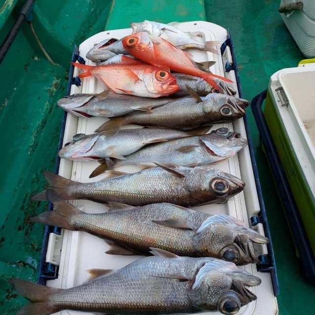 クロムツ・キンメ(キンメダイ)・シロムツ(オオメハタ)