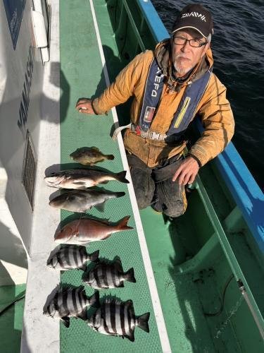 マダイ・クロダイ・イシダイ・カワハギ・ウマズラ(ウマヅラハギ)