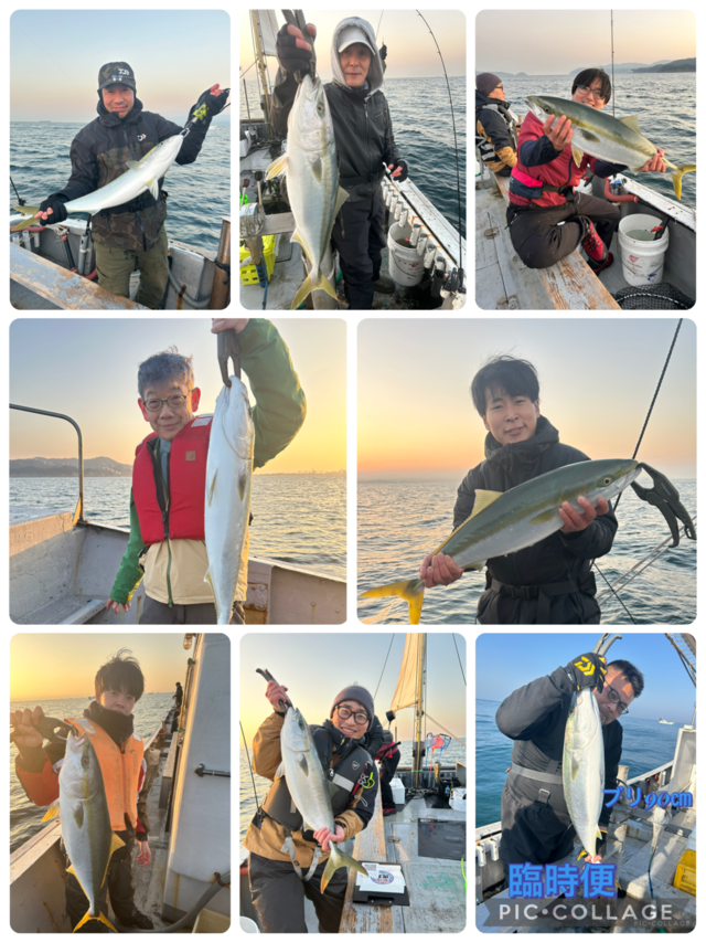 ブリ・メジロ(ブリ)