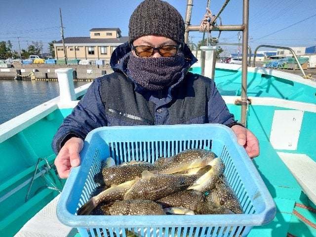 ショウサイフグ