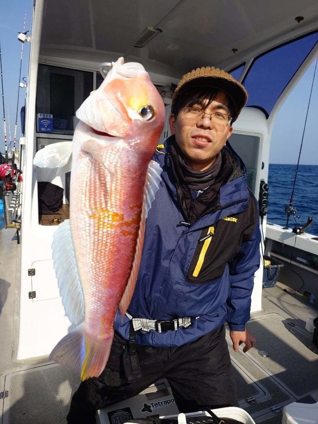 アマダイ(アカアマダイ)