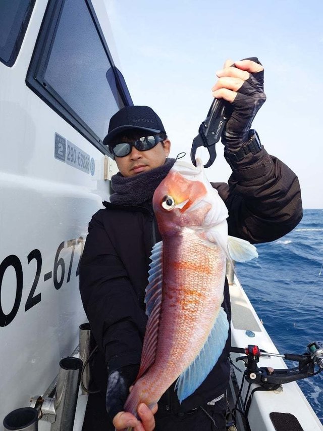 アマダイ(アカアマダイ)