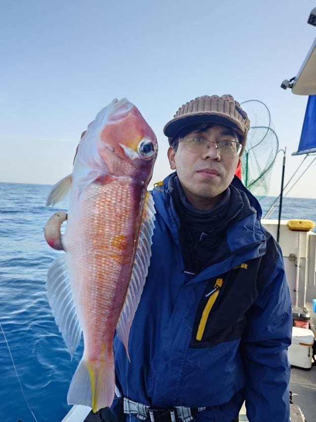 アマダイ(アカアマダイ)