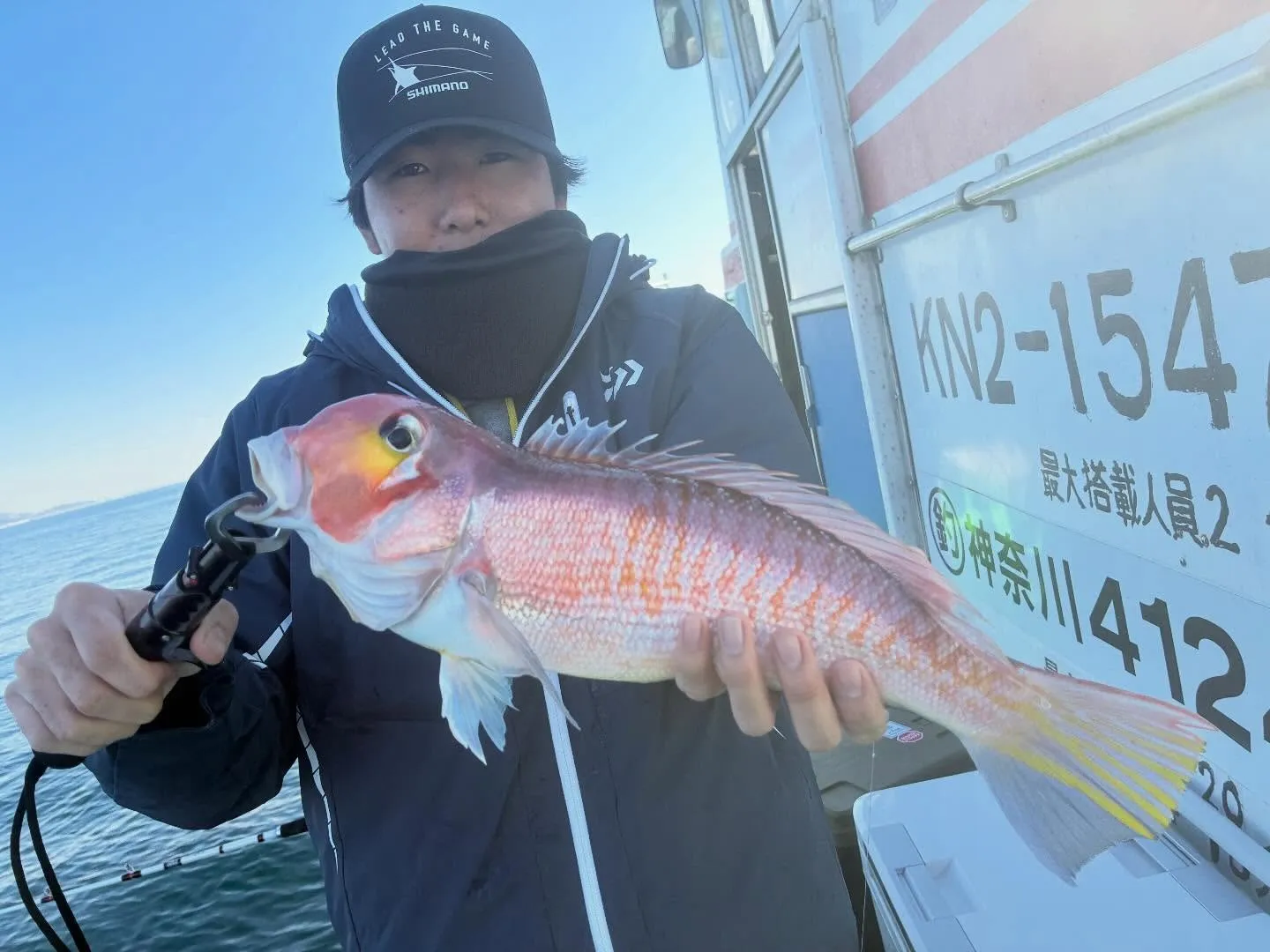 アマダイ(アカアマダイ)