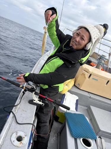 マルイカ(ケンサキイカ)