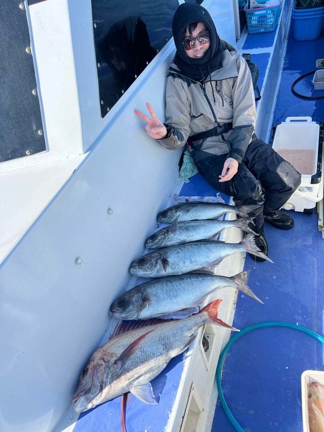 マダイ・メダイ