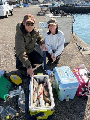 マダイ・マアジ・イサギ(イサキ)