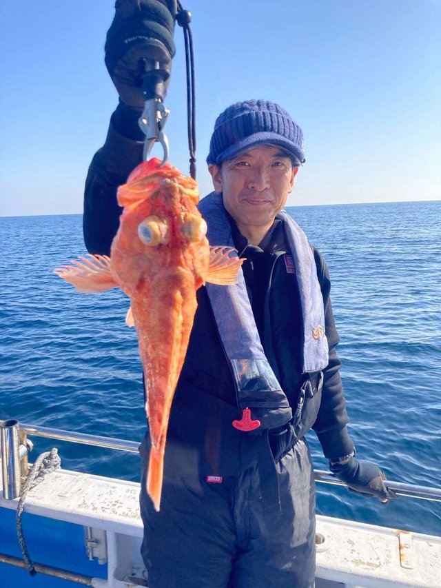 ウッカリカサゴ