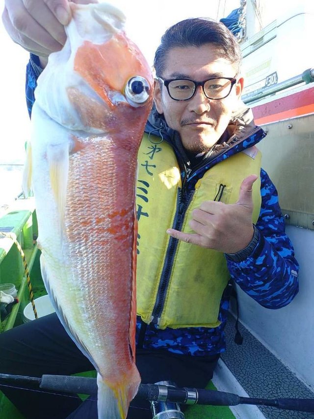 アマダイ(アカアマダイ)