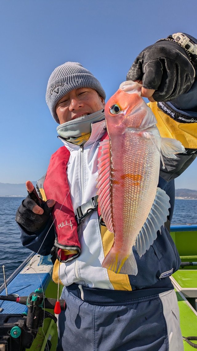 アマダイ(アカアマダイ)