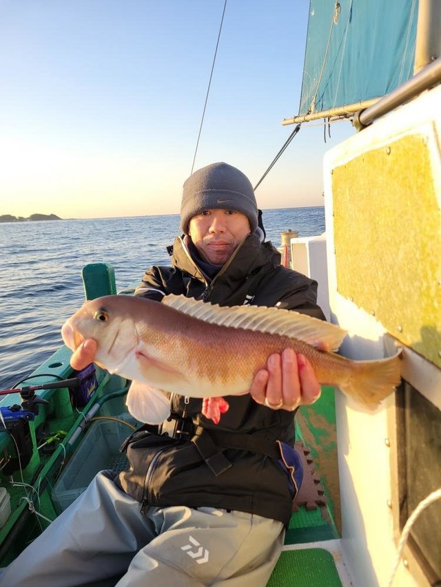 アマダイ(アカアマダイ)