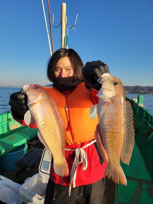 アマダイ(アカアマダイ)