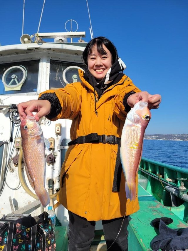 アマダイ(アカアマダイ)