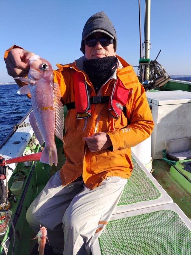 アマダイ(アカアマダイ)