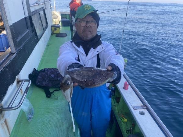 モンゴウ(カミナリイカ)