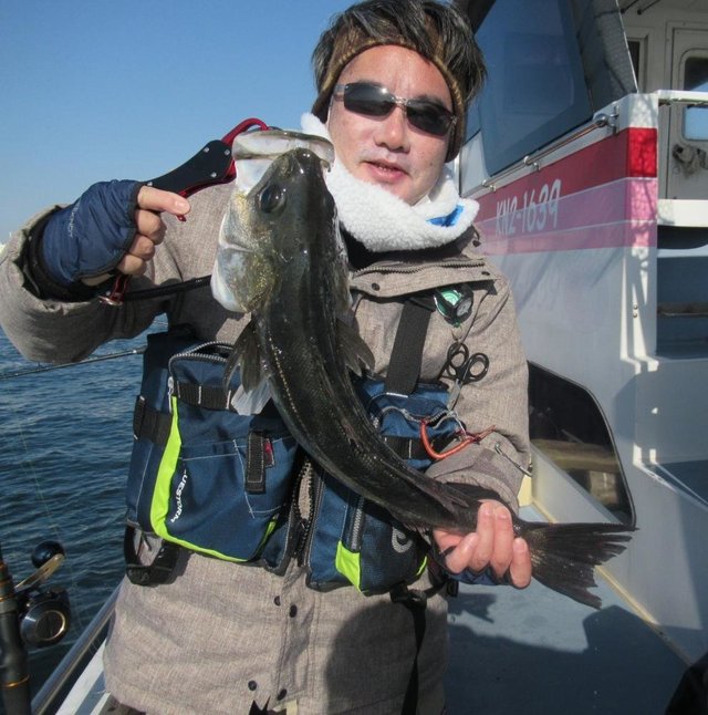 シーバス(スズキ)