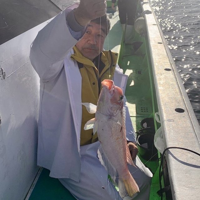 アマダイ(アカアマダイ)