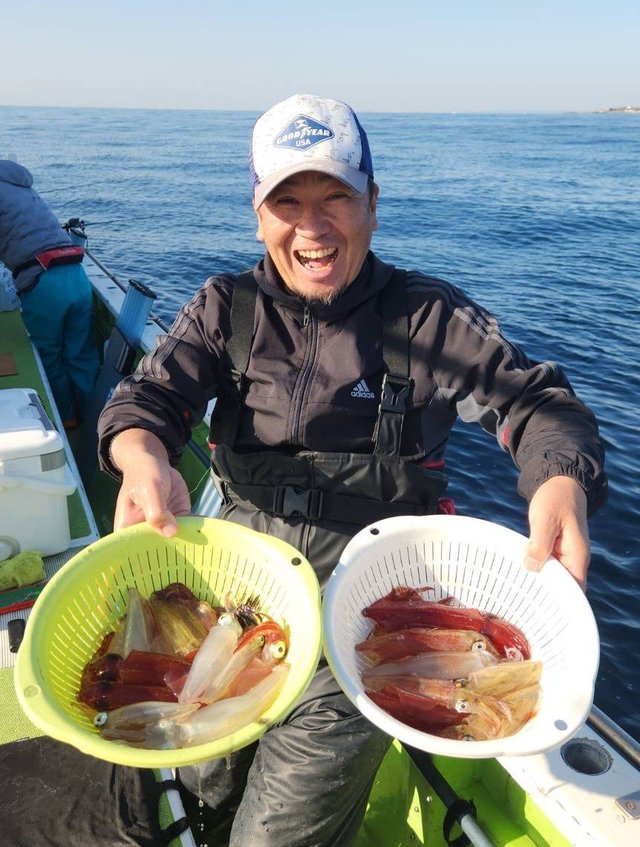 マルイカ(ケンサキイカ)