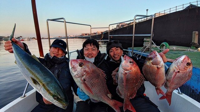 マダイ・ワラサ(ブリ)