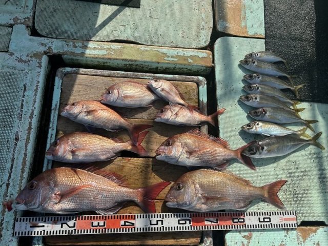 マダイ・チダイ・マアジ