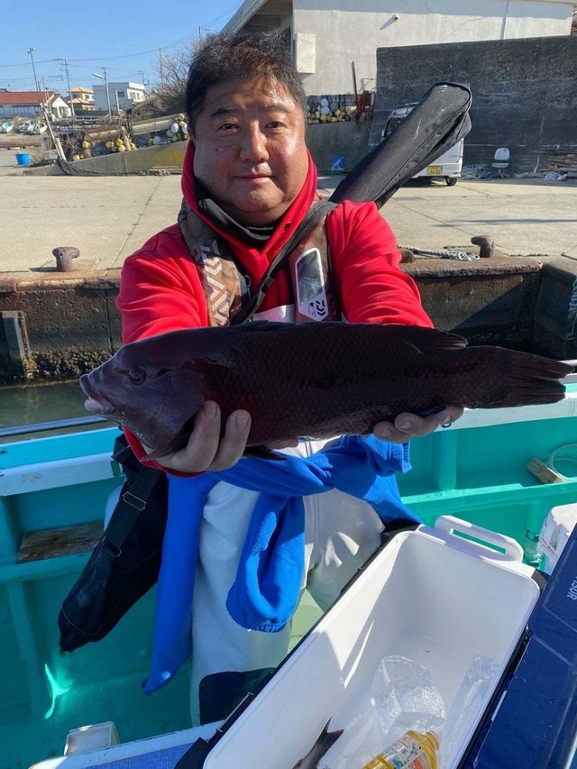 カンダイ(コブダイ)