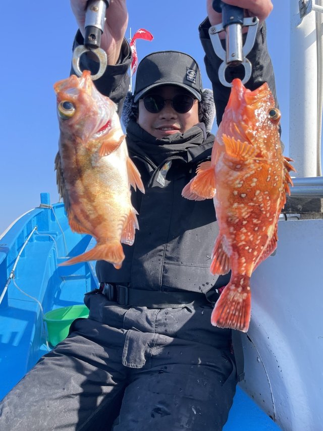 ウッカリカサゴ・メバル