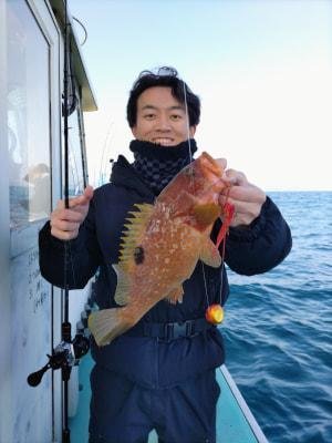 アコウ(キジハタ)