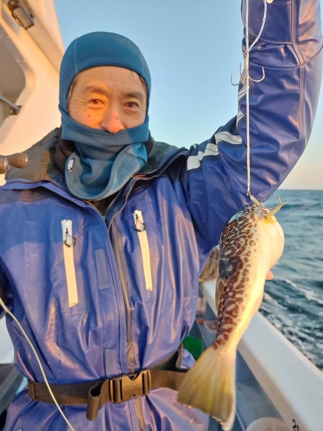 ショウサイフグ