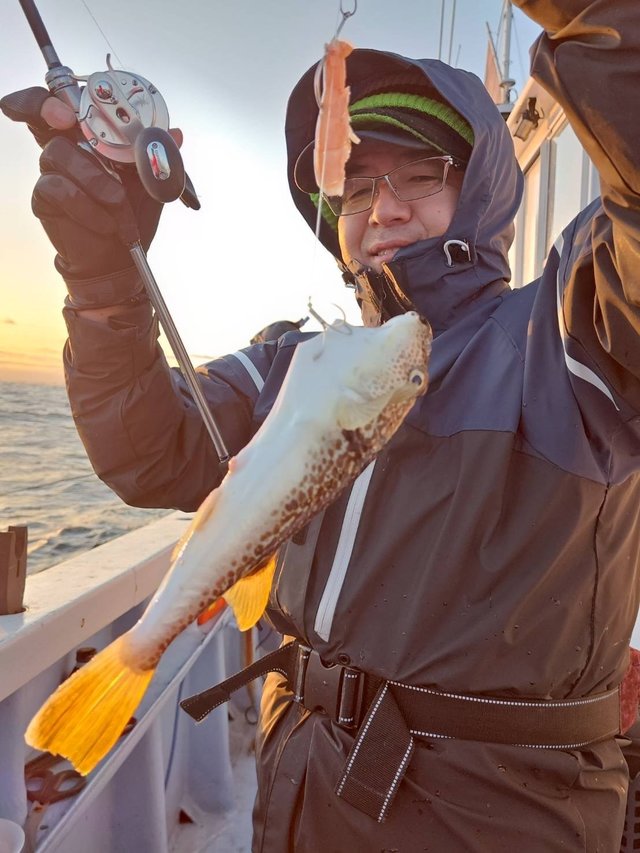 ショウサイフグ