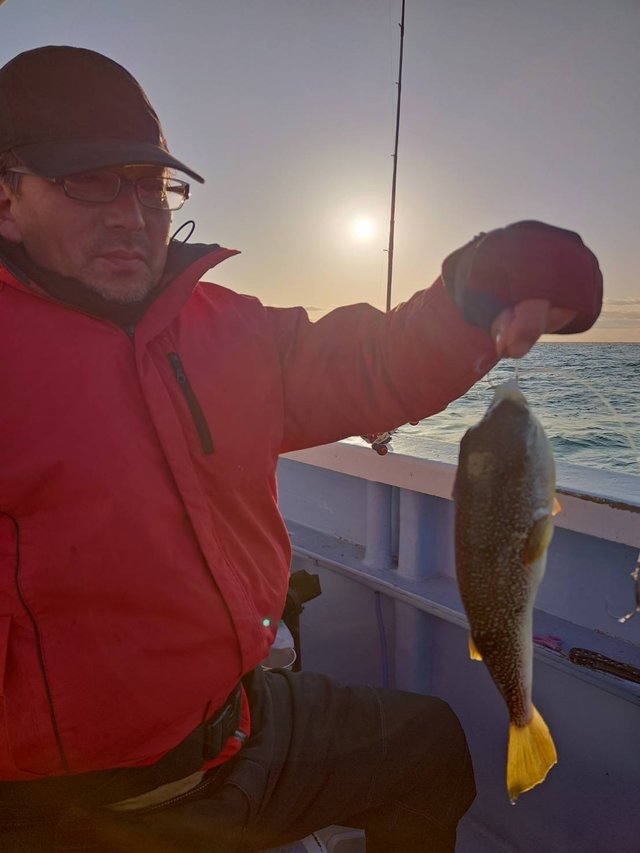 ショウサイフグ