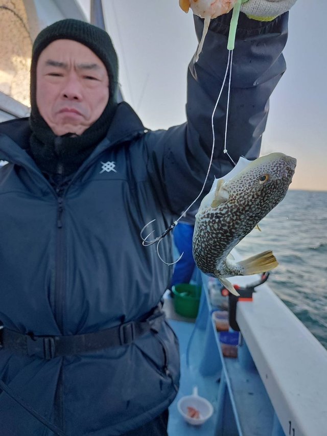 ショウサイフグ