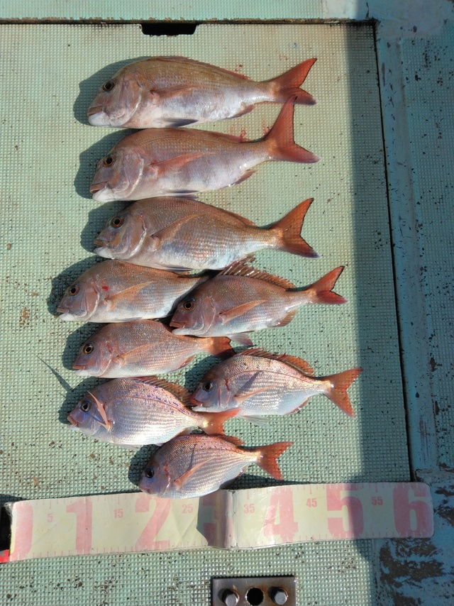 マダイ・チダイ