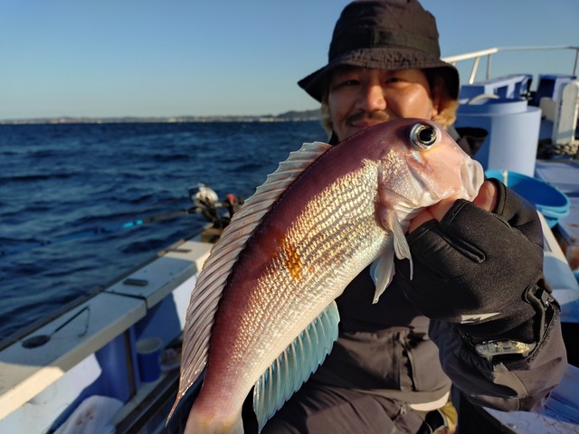 アマダイ(アカアマダイ)