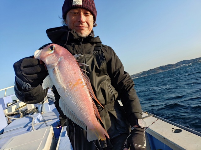 アマダイ(アカアマダイ)