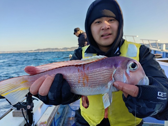 アマダイ(アカアマダイ)