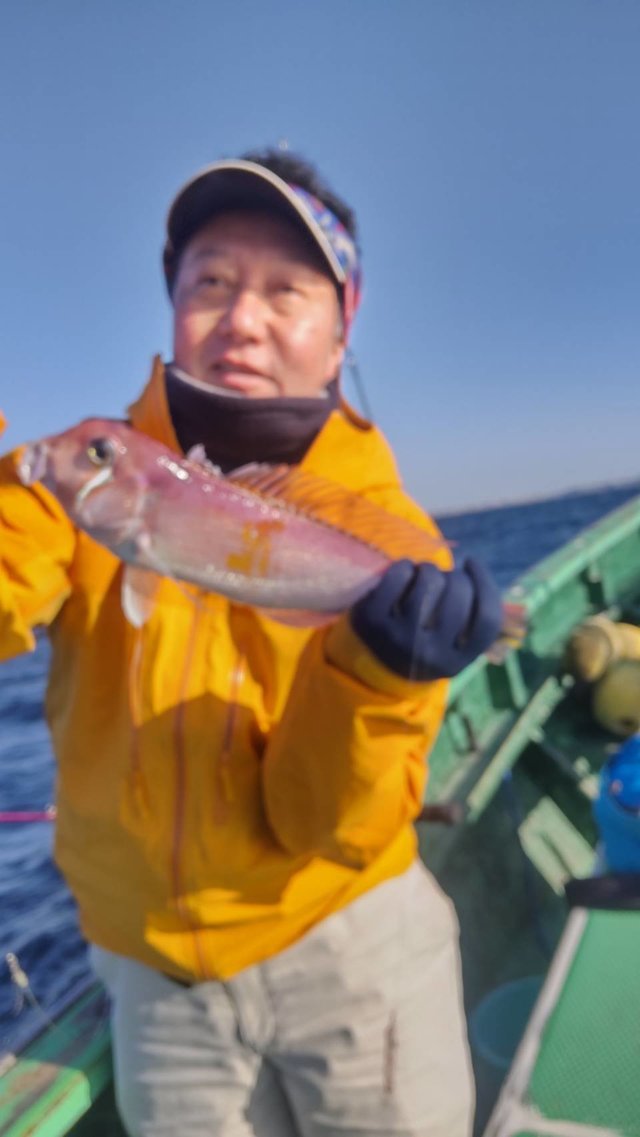 アマダイ(アカアマダイ)